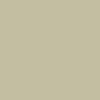 sierra beige color