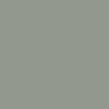 slate gray color