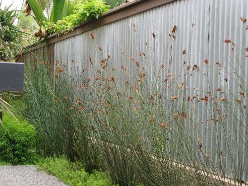 A beautiful and simple corrugated metal fence